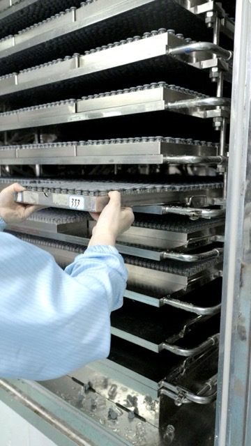 Operator loading vial trays onto freeze-dryer shelves